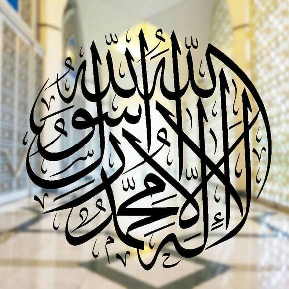 umilabed525